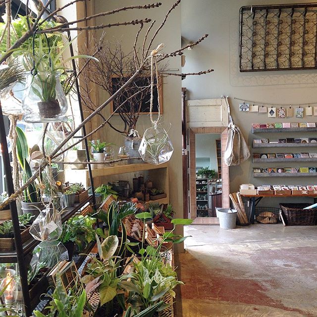 Good morning! Doors are open today from 11-7, stop by and say hello.