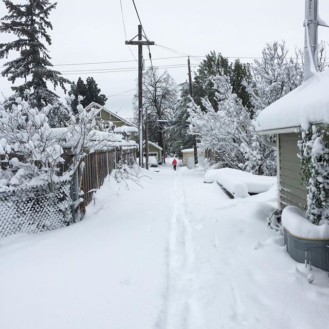 It's still pretty snowy out there but we're making our way to the shop to be a cozy, warm beacon for all those in need of a little retail therapy today.