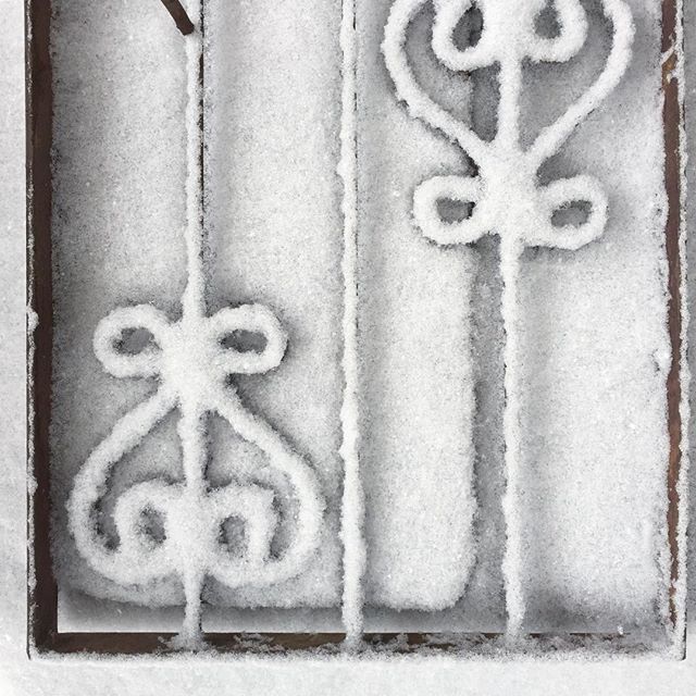 Pretty patterns in the snow.  If we're gonna have to be closed cuz of it we're gonna go play in it!