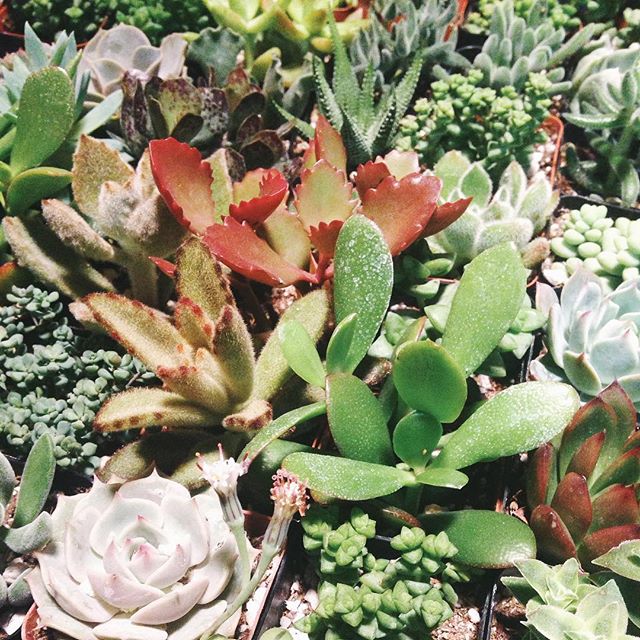 Good morning cuties!