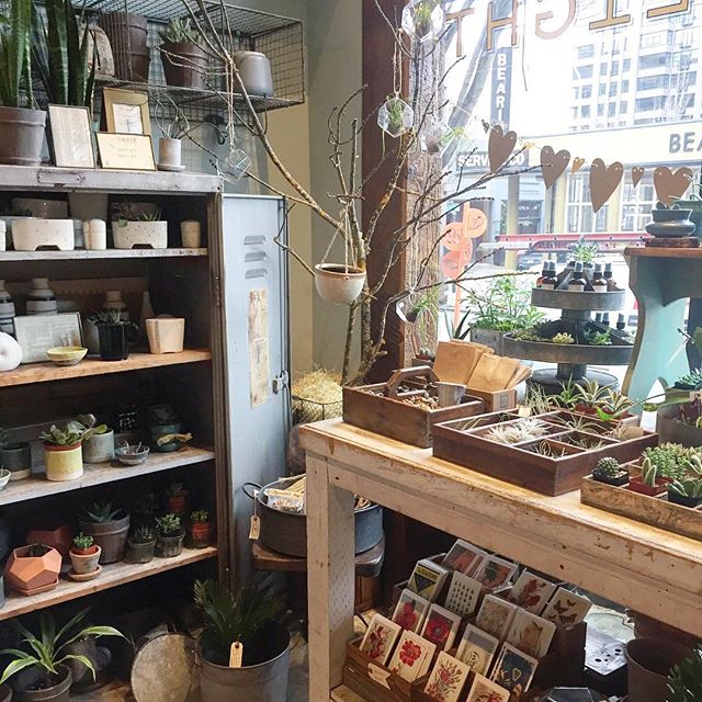 Good morning Sunday!  We're open 11-5 today.  Stop in and say hello!