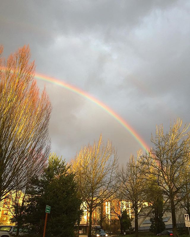 Now that was a glorious rainbow !