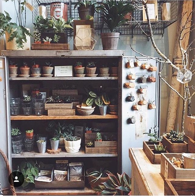 Everything's all lined up for a great weekend!