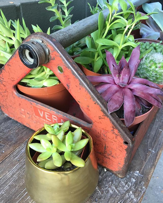 Happy Friday!! It's the weekend and it's shaping up to be a nice one.  Get out there and soak it up!