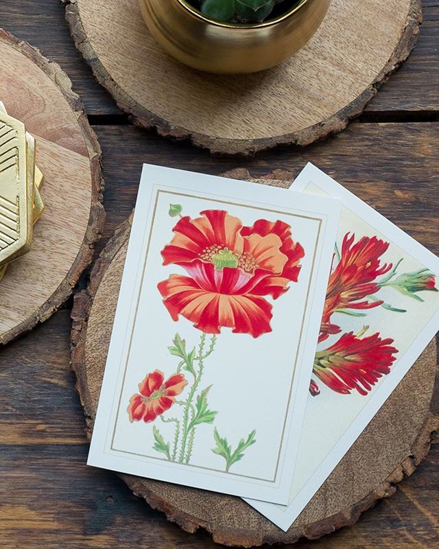 Send someone a sweet bouquet in the mail! These floral postcards are perfect for sending sweet notes or for displaying around your house. We've got dozens of styles in stock for you here at the shop!