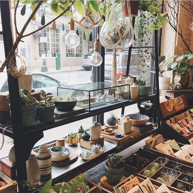 We're pretty happy that heat wave is over and so are our little plant friends. : @underclouds