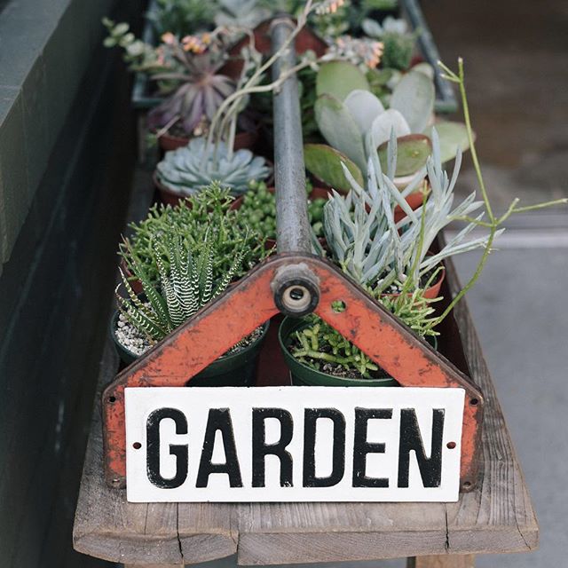 What's growing in your ?