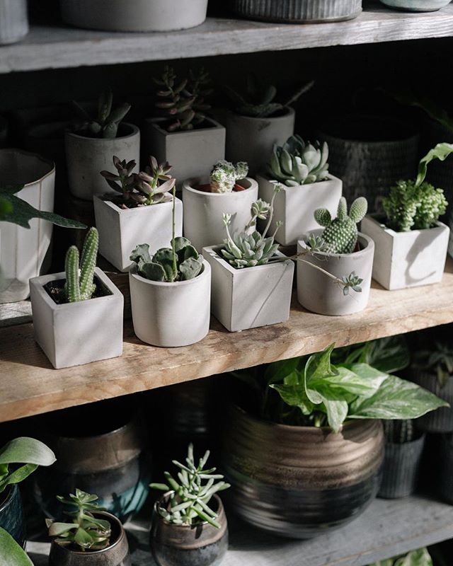 Pretty morning light in the shop.