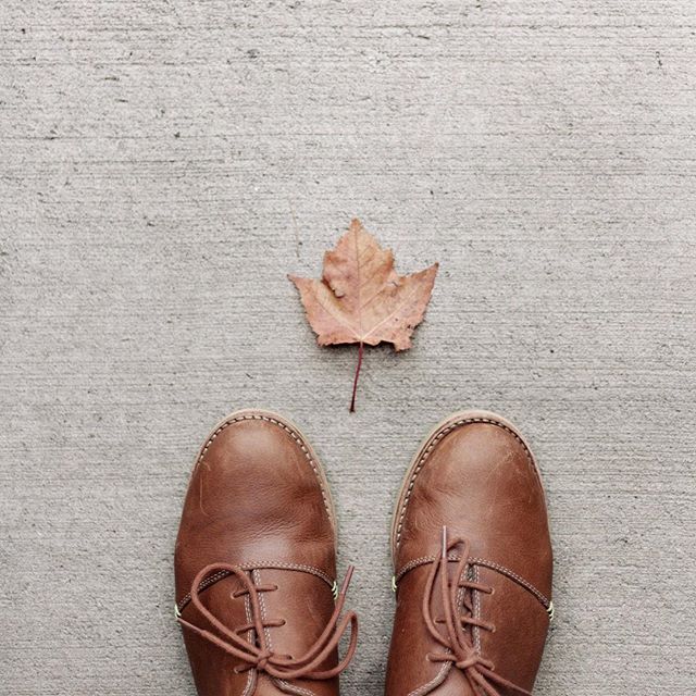 Happy autumn.  Hope you all are out enjoying the beautiful day here in Portland!