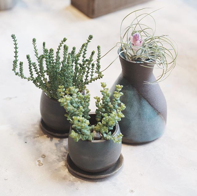 A few ceramic pieces by yours truly.  I'll have lots of sweet little planters and bowls at our Local Artist Holiday Popup this Saturday from 1 to 4.  Stop by and say hello!