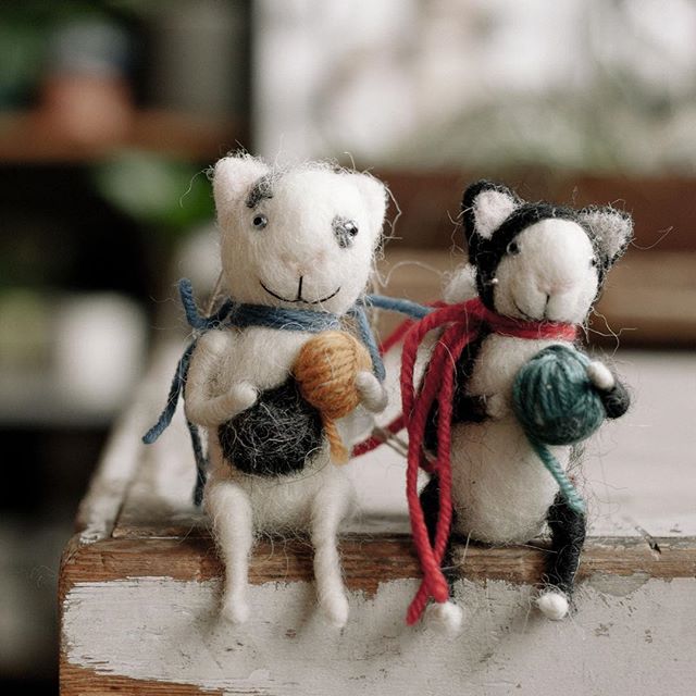 Happy Sunday! Looks like the sun’s coming back!  We hope you have a buddy to enjoy it with.