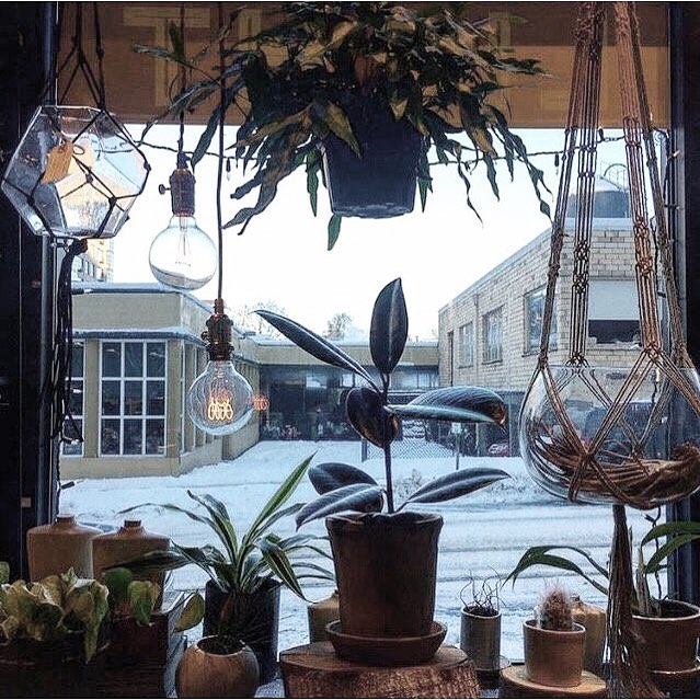 It’s slushy out there, but it’s warm and dry in here.  We’ll be open from 12-6 today.