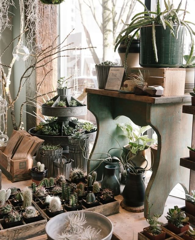 Happy plants make for happy humans!