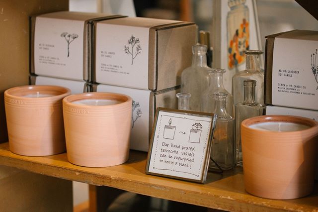 From a candle to a cute planter. This transformation is possible with @pfcandleco