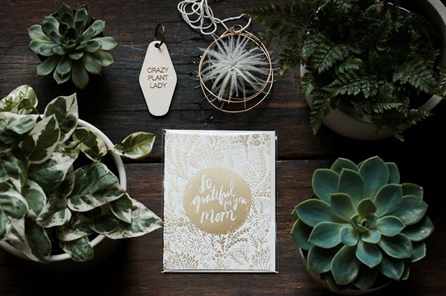 Is your mom a crazy plant lady? Let's celebrate it! Whole range of plants and planters are in the shop and we are here to help you find a perfect gift for her.