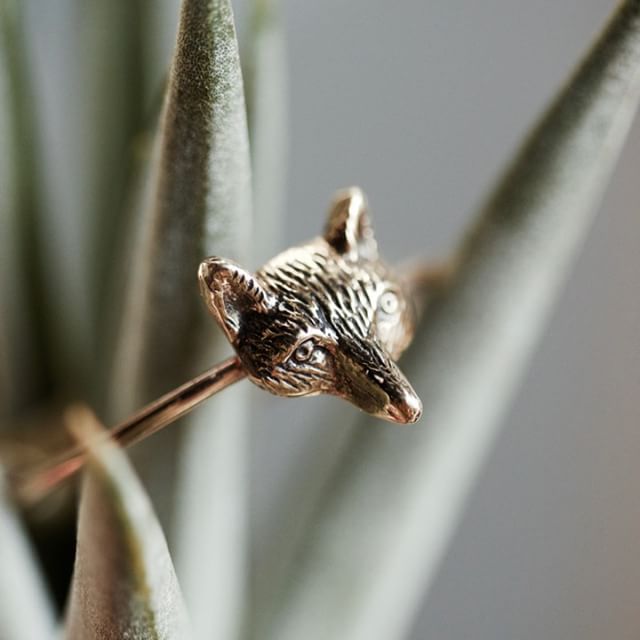Little fox on the run! Come get it!