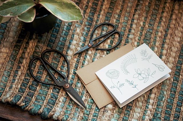 Oregon wildflower notes from @taigapress .