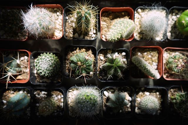 Good morning lil cuties!