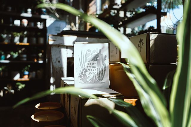 Everyone has a plant lover in their life, right?