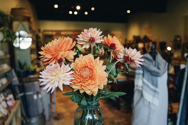 Happy Sunday! Our doors are open 11 to 5 today