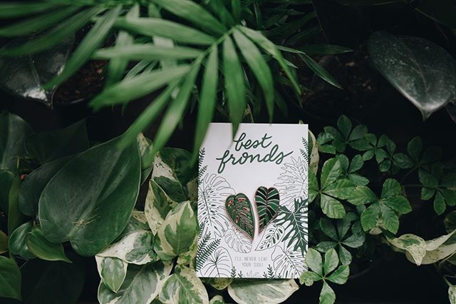 Perfect gift for you and your favorite plant pal! Split them up and become best "fronds"