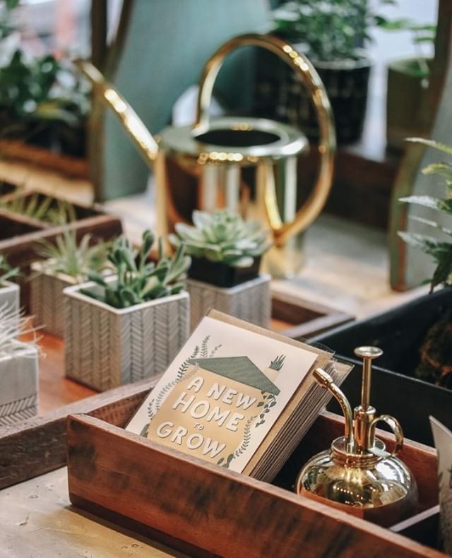 For anyone who has a new place to fill with plants and love!