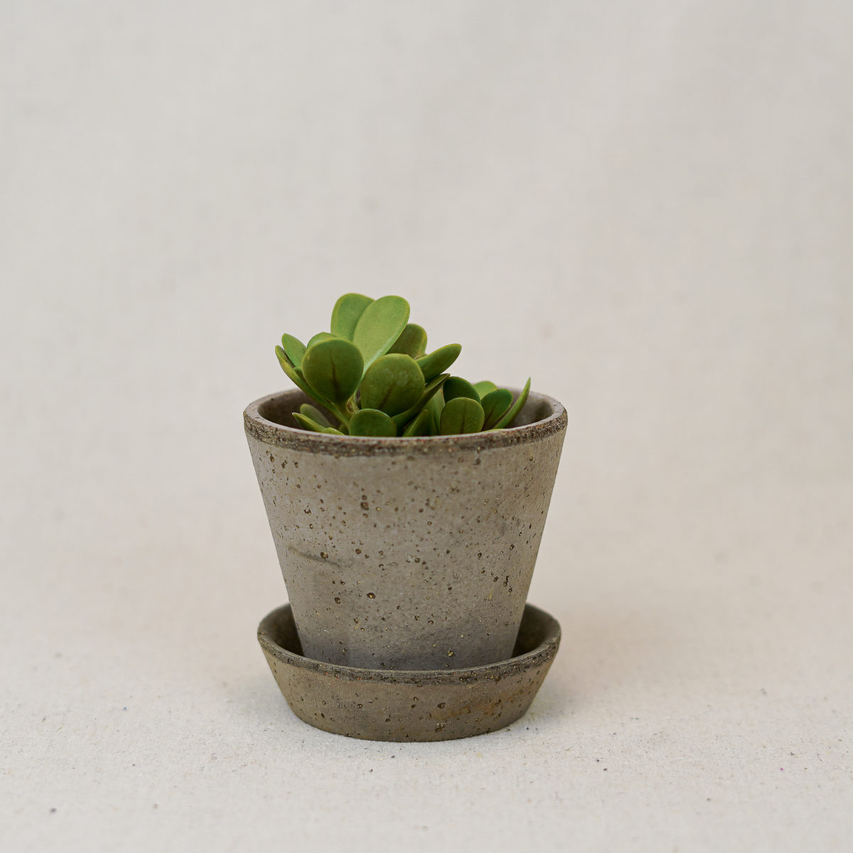 terracotta-simple-pot-grey