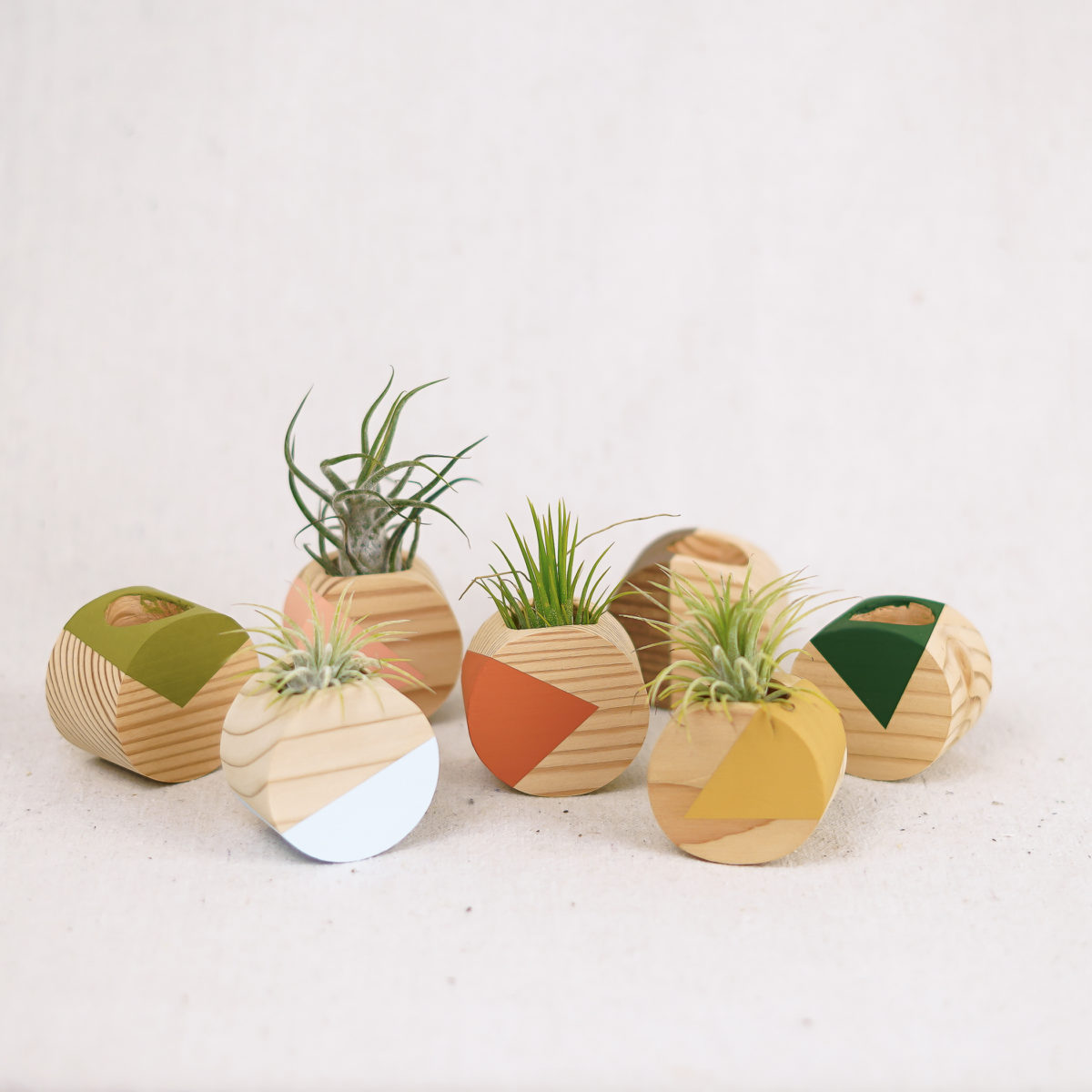 light-round-airplant-holders