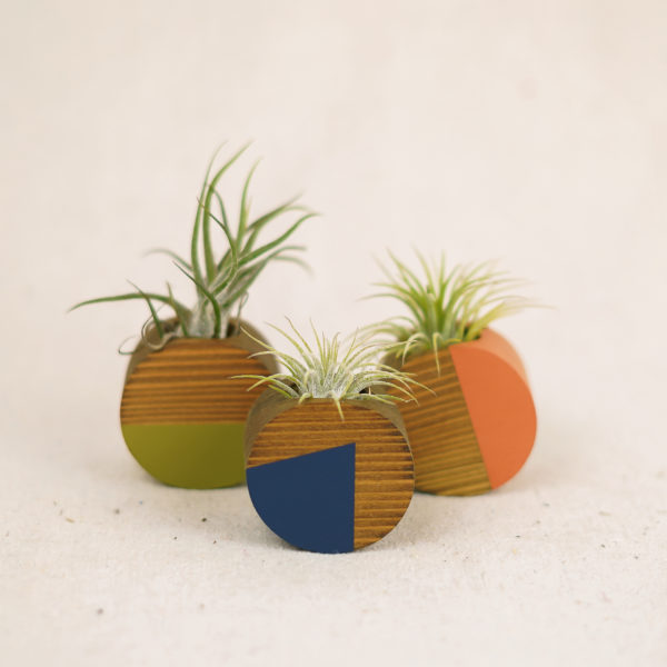 dark-round-airplant-holders