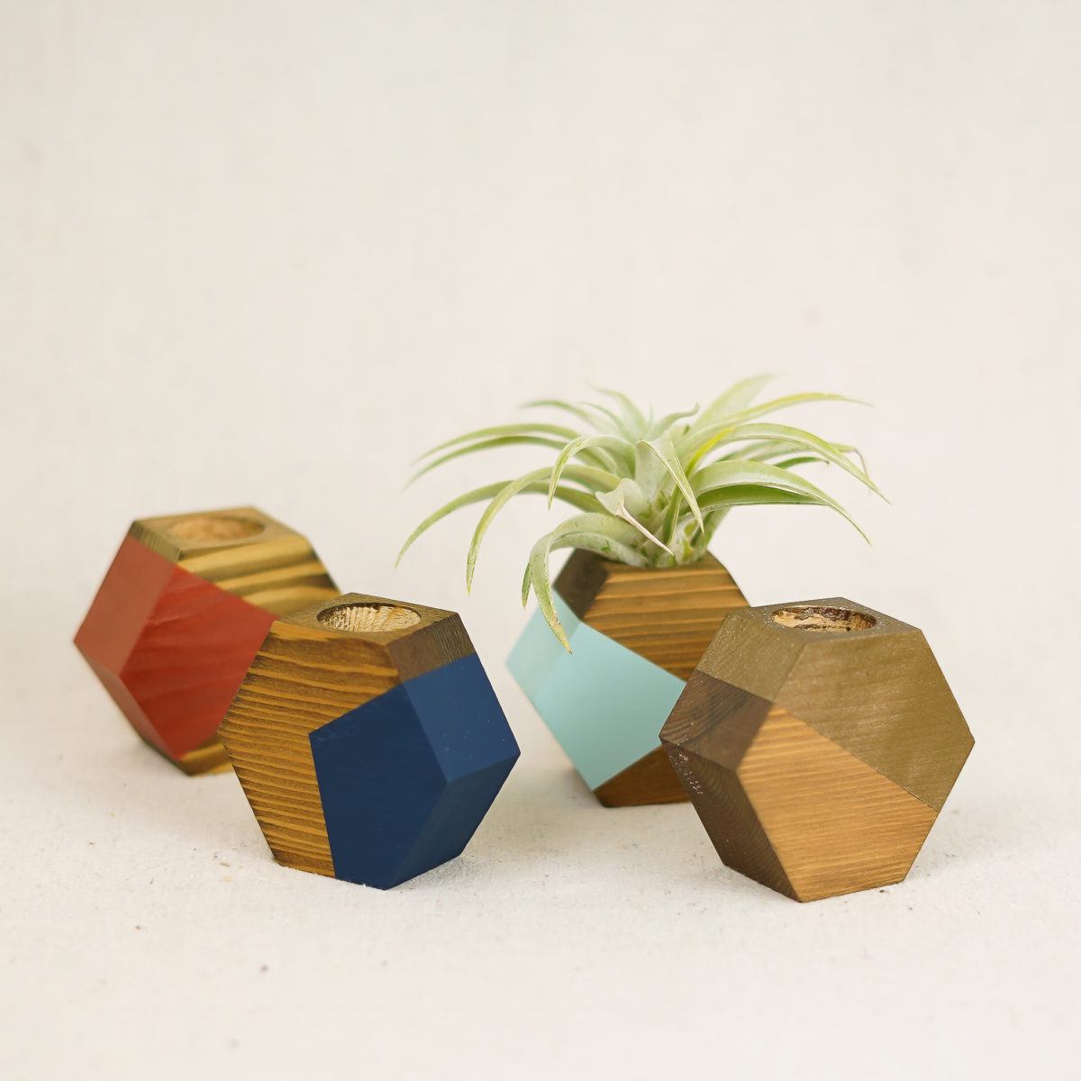 dark-hex-airplant-holders